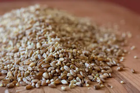 Ngũ cốc nhà làm